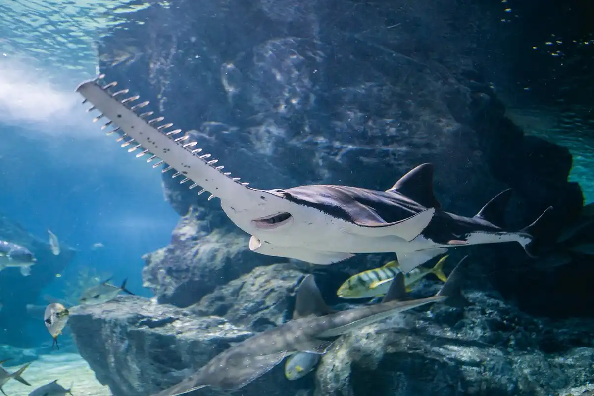 مكاتب سياحة وسفر بجدة مكاتب سياحة وسفر بجدة