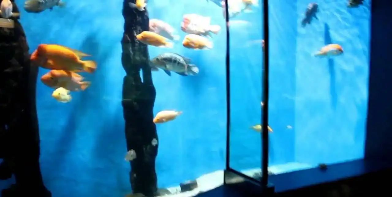 عالم ما تحت الماء لانكاوي