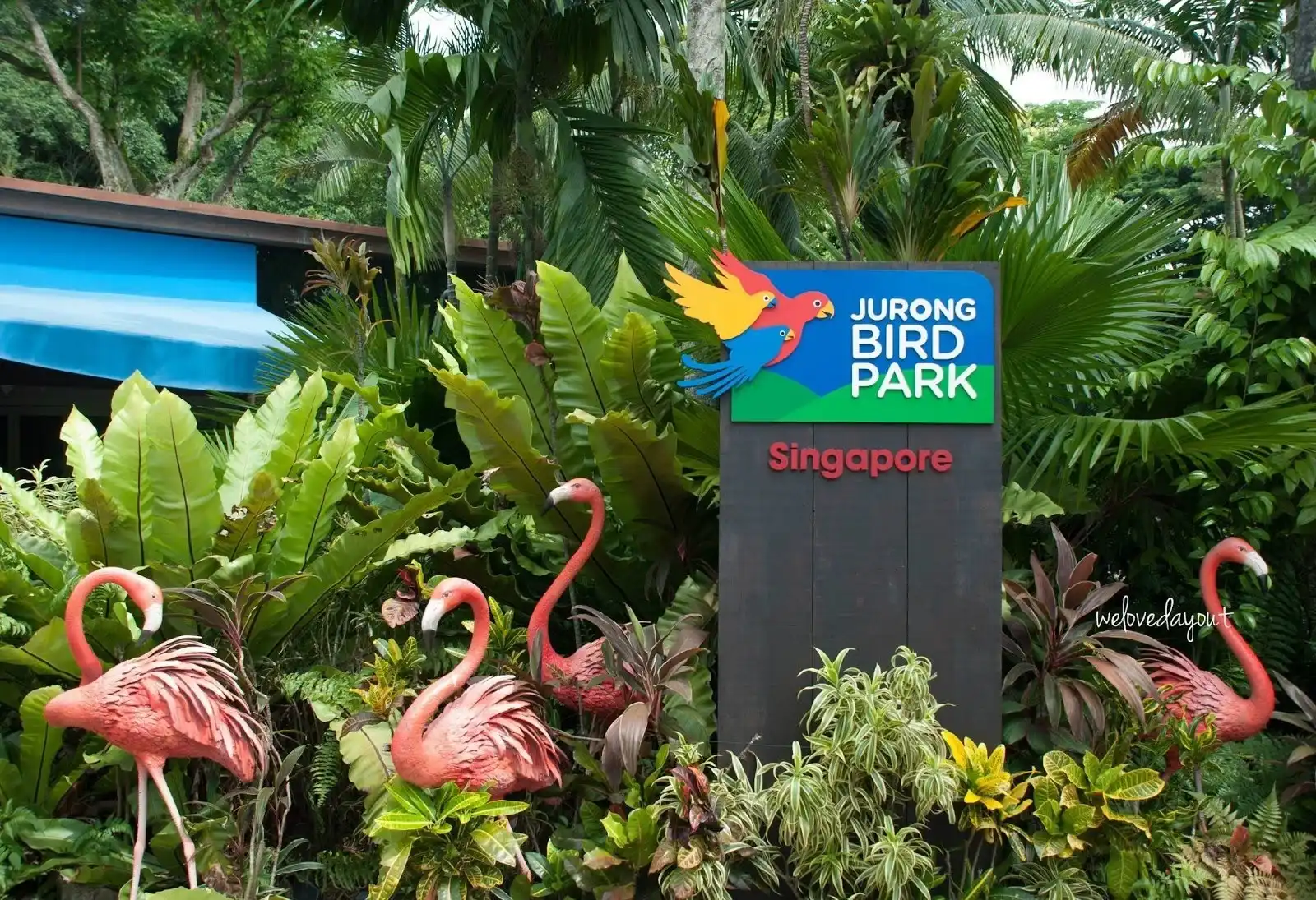 منتزه يورونغ للطيور (3)