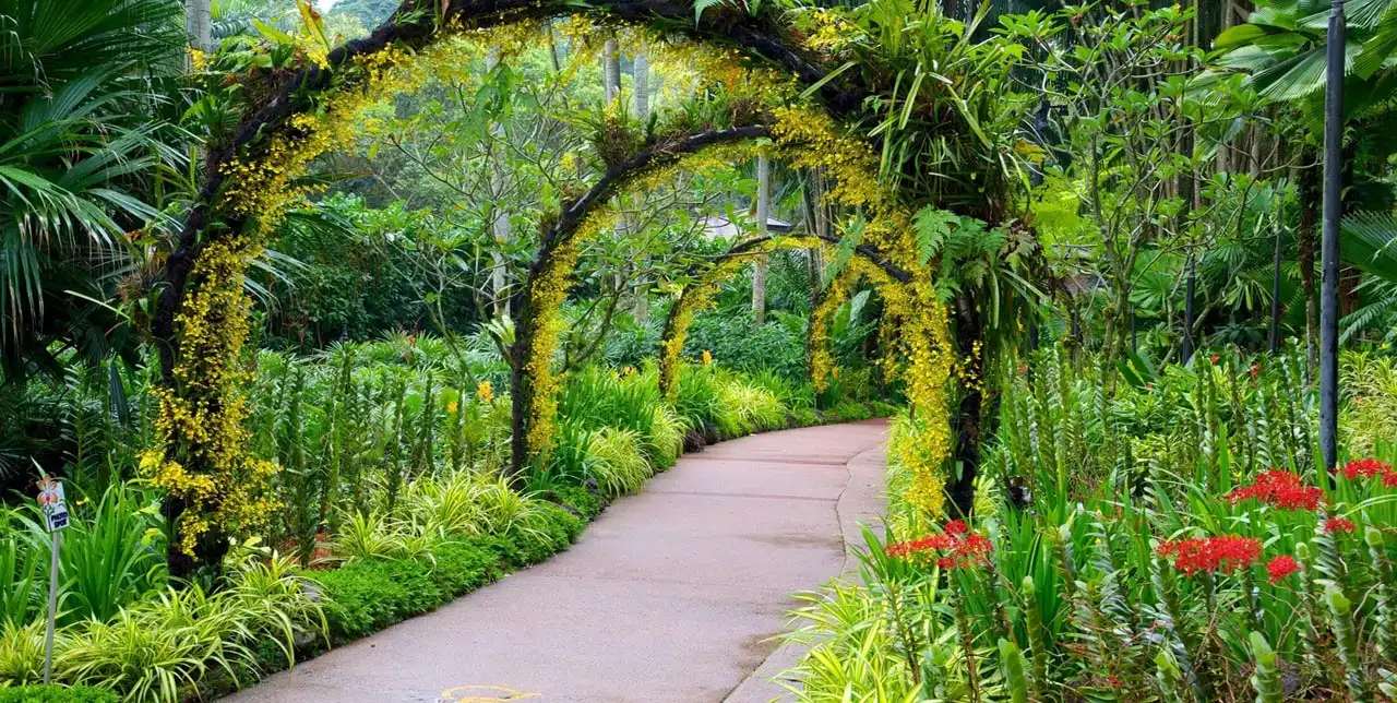 حديقة سنغافورة النباتية